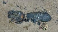 Bomb squad called to beach after artillery find