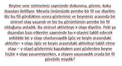 Beyin aktiviteleri dis etmenlerle taklit edilebilir mi? Edilebiliyorsa sonucu orijinali gibi olur mu?