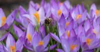 Temperatuur klimt opnieuw richting 20 graden