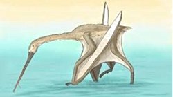 Su Altında Avlanabilen Pterozor Türleri: Paleontolojik Bir İnceleme