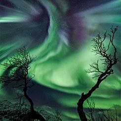 Creature Aurora Over Norway 