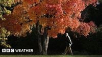 Spectacular autumn leaves expected after warm UK summer