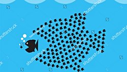 Küçük Balık Olmanın Stratejik Avantajı: Bırakın Büyük Balıklar Birbirini Yesin!