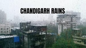 Chandigarh's February Rainfall Falls Short By 47%