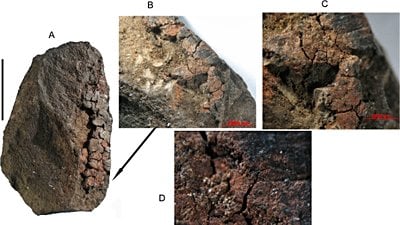 Güney Afrikalılar, 49.000 Yıl Önce Süt İçeren Boyalar Kullanarak Kendilerini Süslediler!