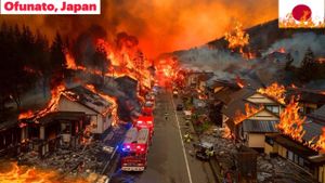 Japan's Ofunato Struggles With Devastative Forest Fires