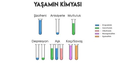 Hayatın Kimyası: Farklı Kimyasal Kombinasyonları Hissettiğimiz Duyguları Nasıl Etkiliyor?