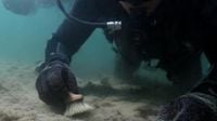 Finders Keepers: Who Really Owns Florida's Sunken Treasures - NewsBreak