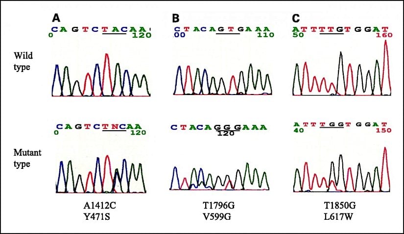 Mutasyonları tespit etmek için kullandığımız genetik dizileme yöntemlerinden örnek bir sonuç...
