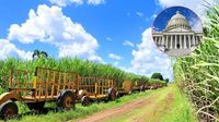¿Por qué Central Romana no podía exportar azúcar a Estados Unidos?