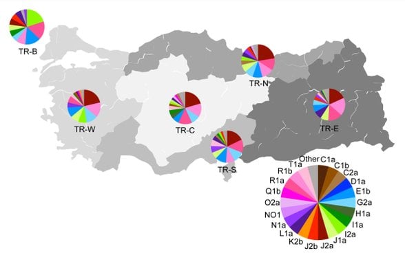 Y-haplogrubu dağılımı