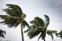 Friday’s weather: Windy conditions expected across parts of SA | News24