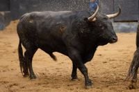 Seis toros de Domingo Hernández para el esperado cartelazo de arte de hoy en Sevilla