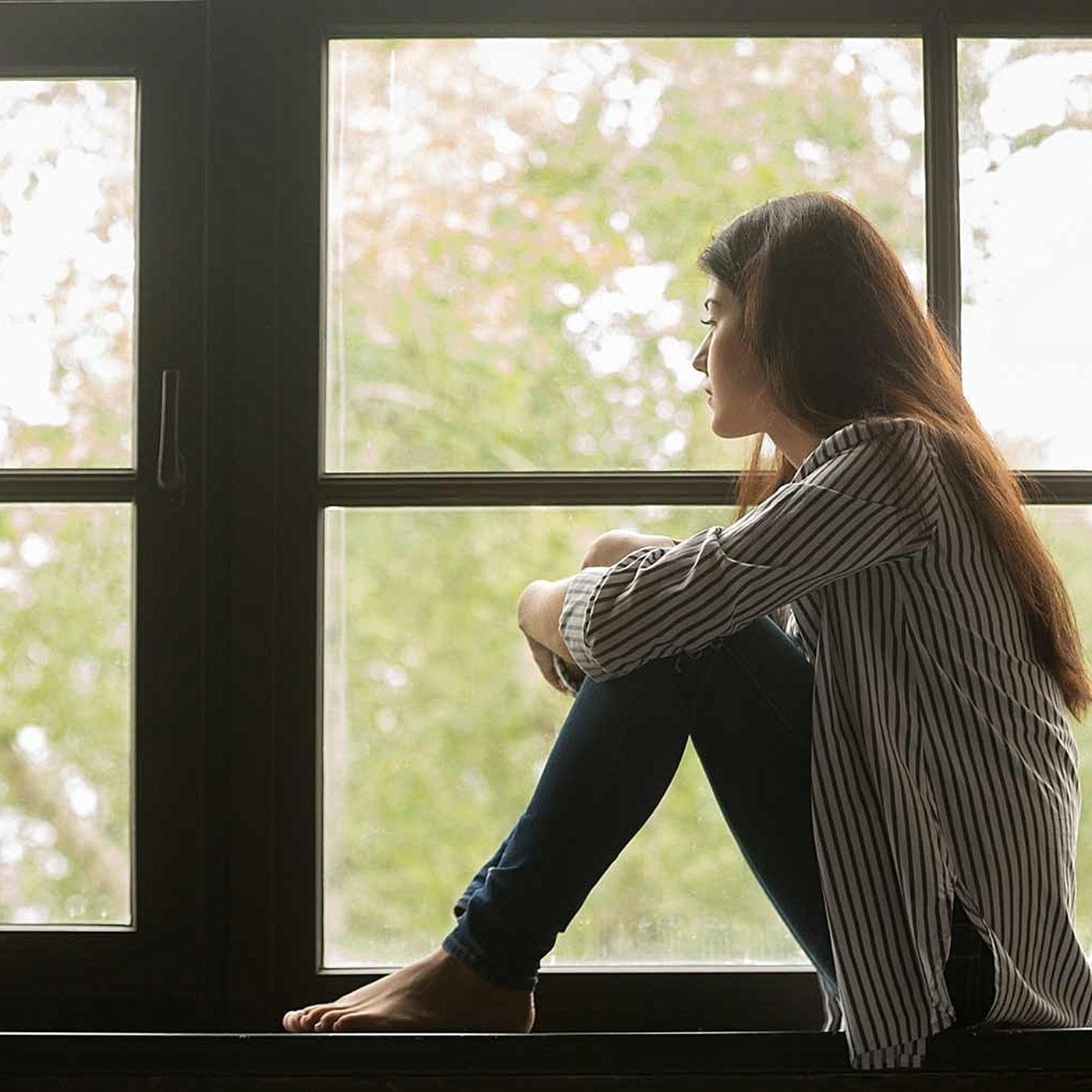 Evrim Ağacı ile Bilime Dair Her Şey!