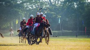 Cavalry FC Makes History With Stunning Victory Against Pumas UNAM