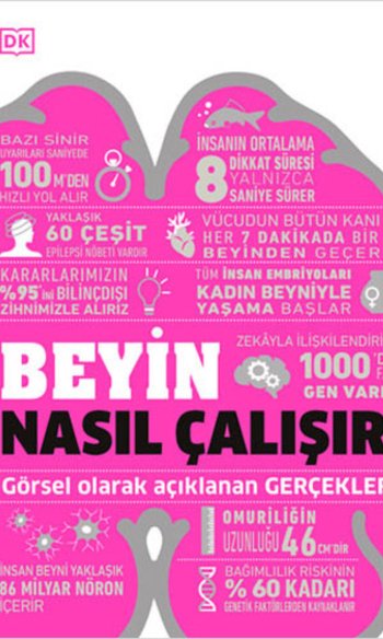 Beyin Nasıl Çalışır