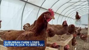 Avian Flu Sparks Soaring Egg Prices And Shortage