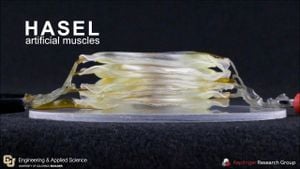 New Hydrogel Mimics Muscle Properties By Regulating Water Content