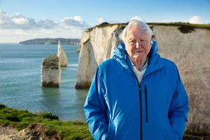 Sir David Attenborough Urges Ocean Protection In New Film
