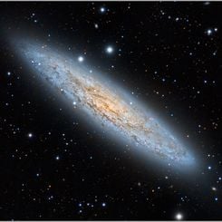 NGC 253: The Sculptor Galaxy