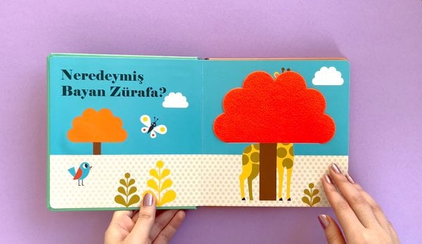 Neredeymiş Bay Aslan?