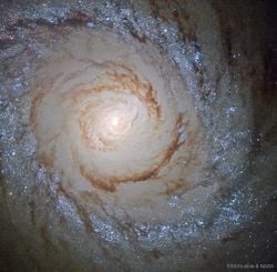 Hubble'dan M94: Yıldız Patlaması Galaksisi