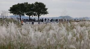 Cold Wave Grips South Korea As Temperatures Plunge
