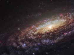 NGC 7331 Yakın Çekim