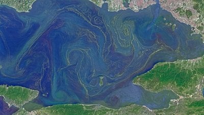 Okyanus Gübresi İklim Değişikliğine Potansiyel Bir Çözüm Olabilir mi?