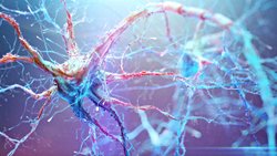 Şiddetli COVID beyinde yaşlılık belirteçlerine neden olabilir