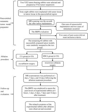 Cryoablation Outperforms Microwave Ablation For Tumor Treatment