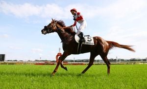 Japanese Horse Racing Sparks Thrills With February Results