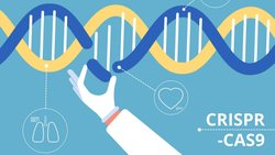 Ölümsüzlük, gerçekten hayal mi?