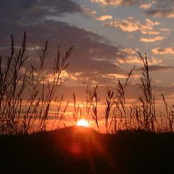 Zimbabwe Sunset