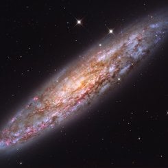 NGC 253: Tozlu Ada Evren