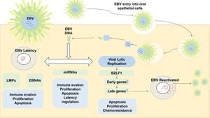 Groundbreaking Study Links EBV Infection To Multiple Myeloma Risk