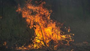 Forest Fire Engulfs Ofunato City, Evacuations Issued