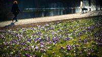 Frost ade, Frühling olé: Die Temperaturen steigen in Bremen  - buten un binnen