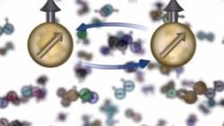 Atomlarda Spin Simetrisi’nin İlk Doğrudan Kanıtına Ulaşıldı!