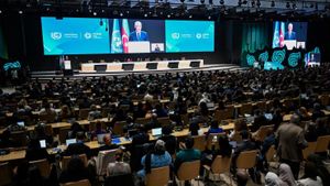 Azerbaijan's COP29 Paves Path For Global Climate Action