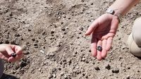 Two types of ancient human ancestors coexisted more than 2 million years ago, fossils show | CNN