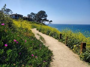 Brighton Named Most Walkable City In The UK