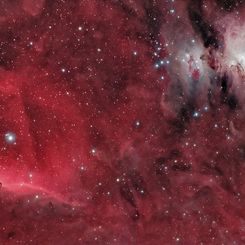 Horsehead and Orion Nebulas