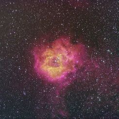 The Rosette Nebula