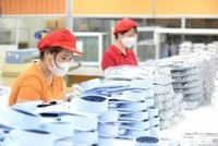 Lấy ý kiến việc sửa đổi quy định về xuất xứ hàng hóa và giấy chứng nhận C/O | Tạp chí điện tử Hải quan Online