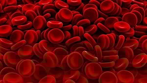 Kemik İliği Dışında Kan Hücrelerinin Üretimi