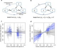 Leveraging pleiotropic clustering to address high proportion correlated horizontal pleiotropy in Mendelian randomization studies - Nature Communications