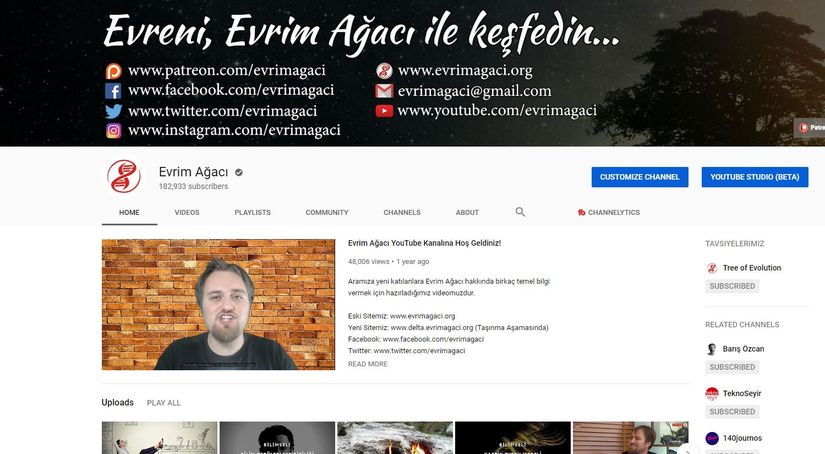 Evrim Ağacı YouTube