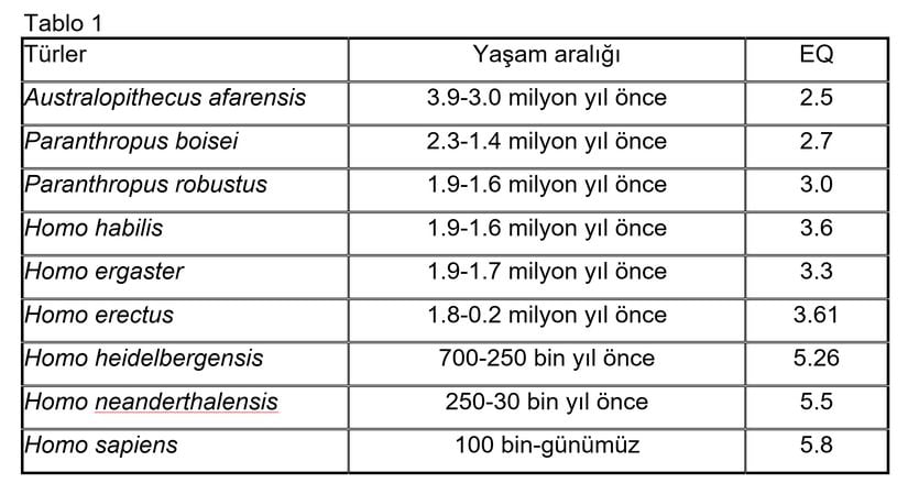 Tablo 1: Hominidlerin EQ Gelişimi