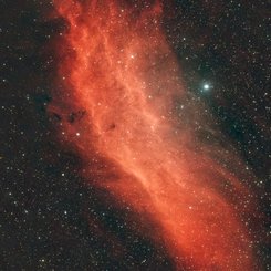  NGC 1499: The California Nebula 